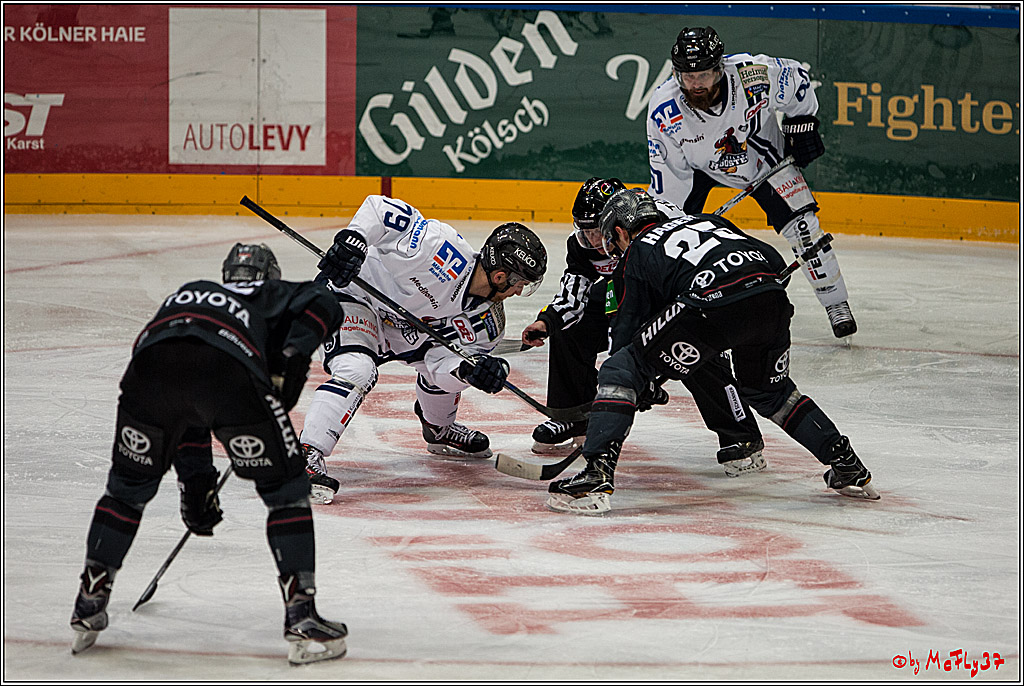 DEL, Koelner Haie - Iserlohn Roosters, 28.12.2016